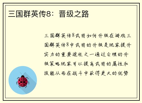 三国群英传8：晋级之路